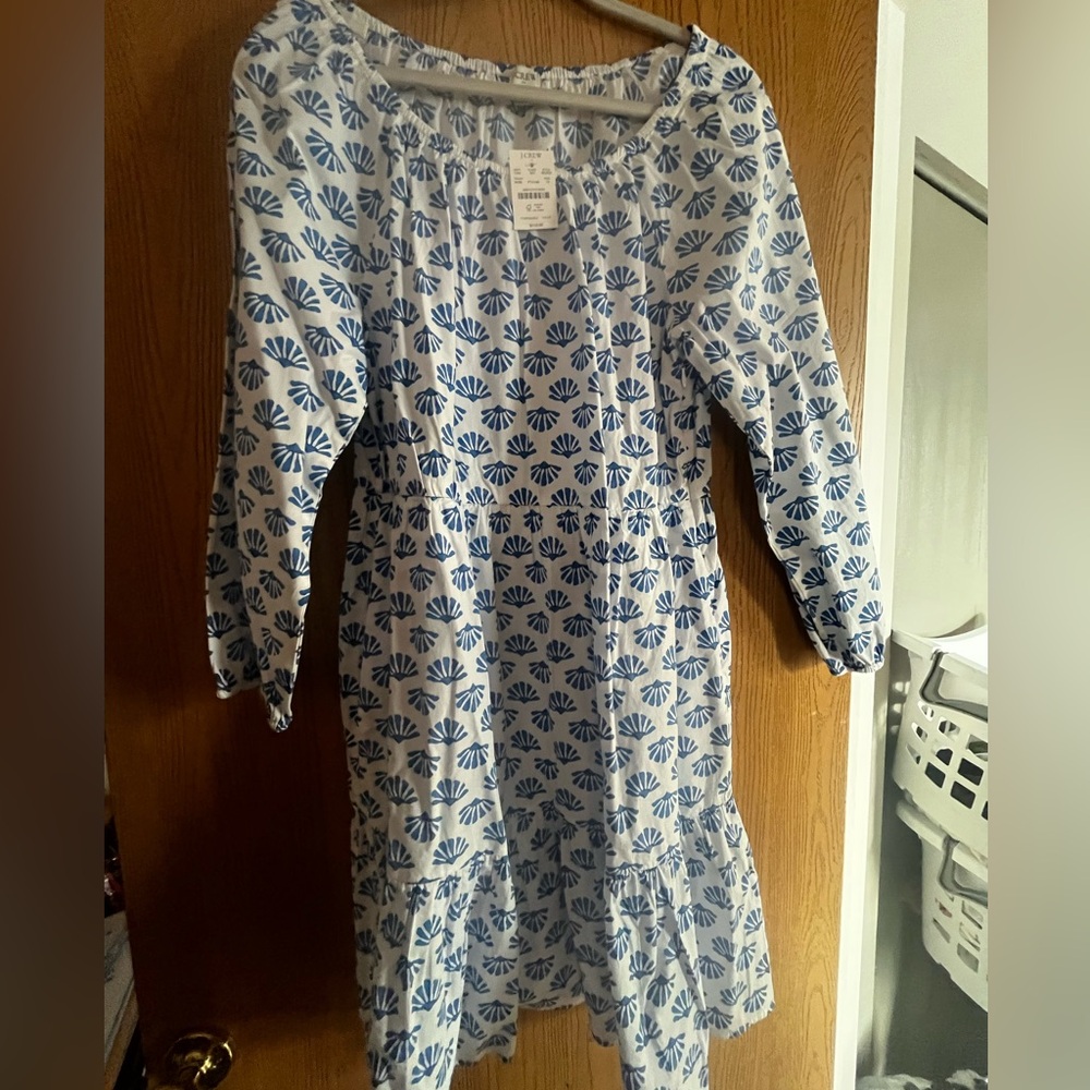 J. Crew Blue and White Long Sleeve Dress